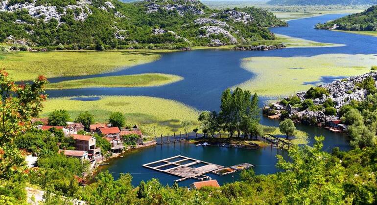 magic-pictures-of-skadar-lake-en-2