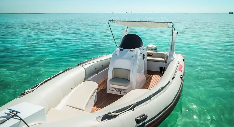 Excursión en lancha rápida por la bahía de Orange