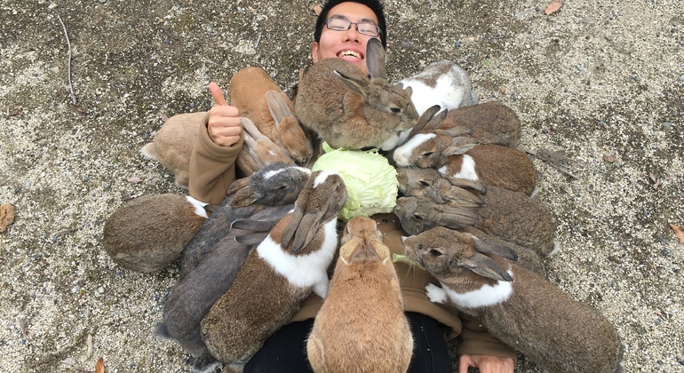 Okunoshima, Excursión a la Isla de los Conejos - Hiroshima | FREETOUR.com