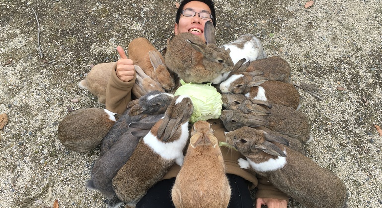 Okunoshima, Rabbit Island Tour