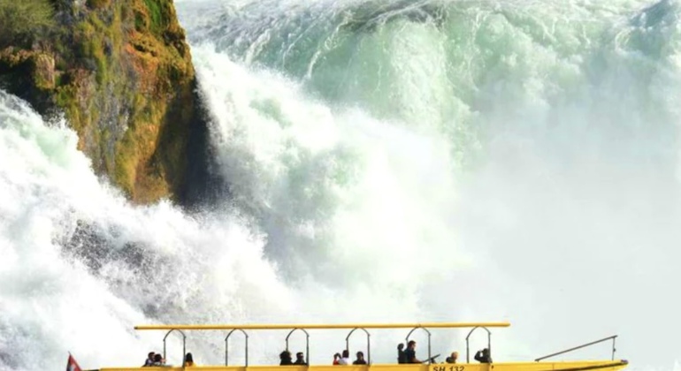 rhine-falls-private-tour-es-2