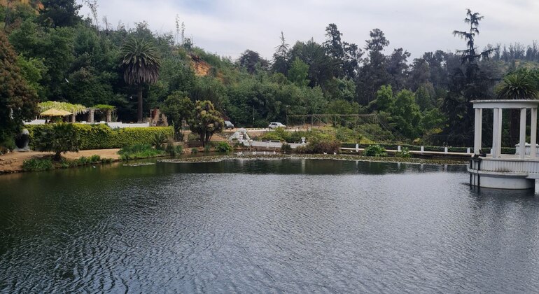 Tour: Viña del Mar Gardens