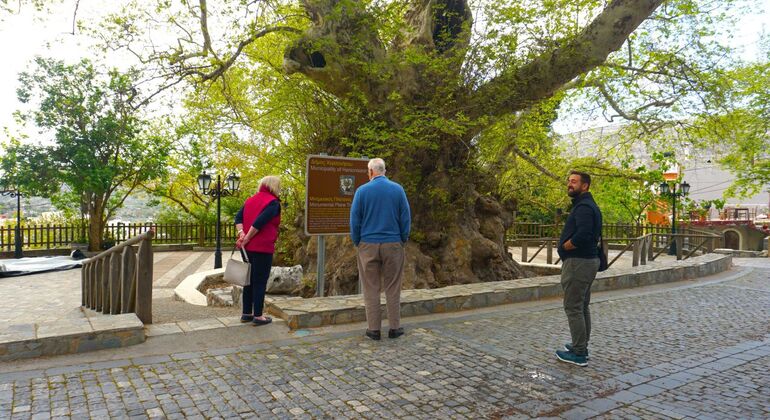 lasithi-plateau-zeus-cave-villages-tour-es-5