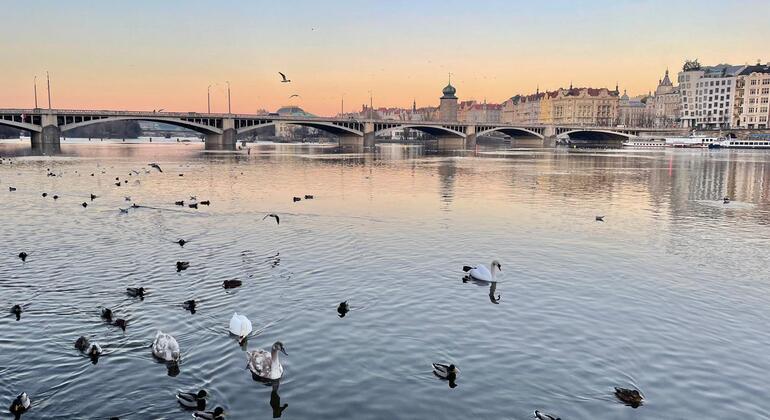 Tour nascosto di Praga e del centro Fornito da Adalgisa costanzo