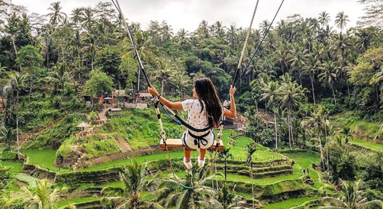 bali-ubud-highlights-private-tour-with-transfers-en-8