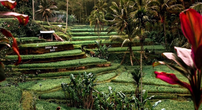 bali-ubud-highlights-private-tour-with-transfers-en-17