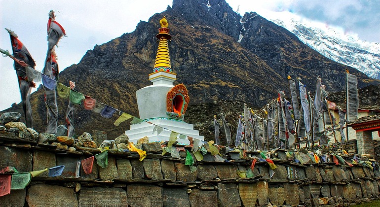 Trekking no Vale de Langtang no Nepal