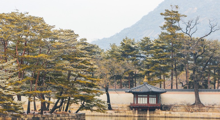 full-day-tour-palace-in-seoul-en-2