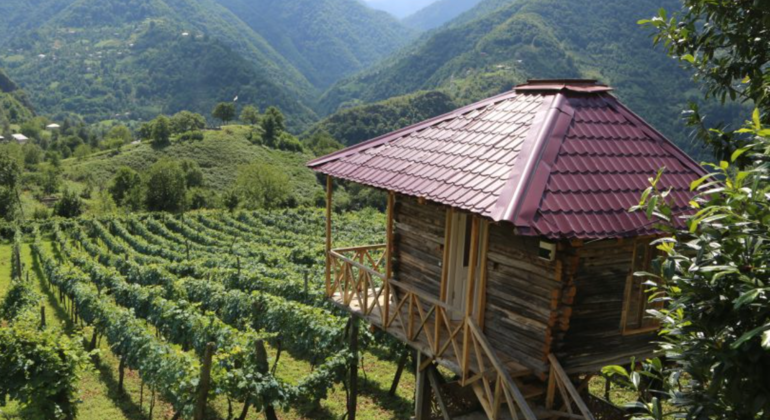 wine-dine-tour-to-makhuntseti-waterfall-from-batumi-en-1