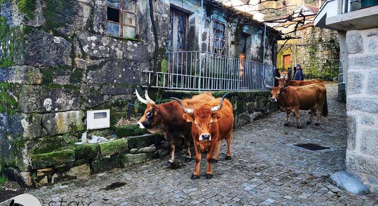 hiking-in-the-mini-tibet-of-portugal-en-2