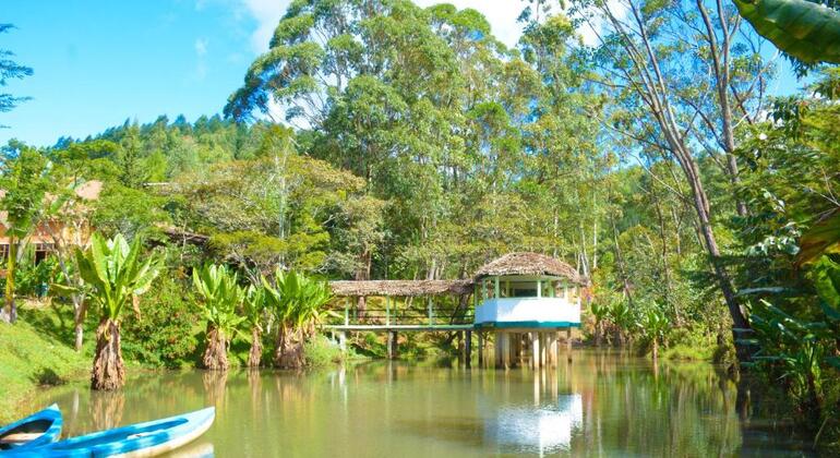 Excursión a los lémures de Madagascar - Antananarivo | FREETOUR.com