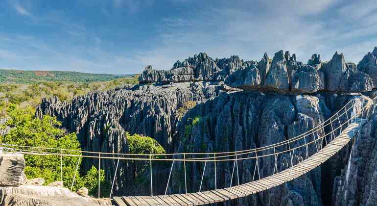 Tsingy de Bemaraha y Morondava en detalle