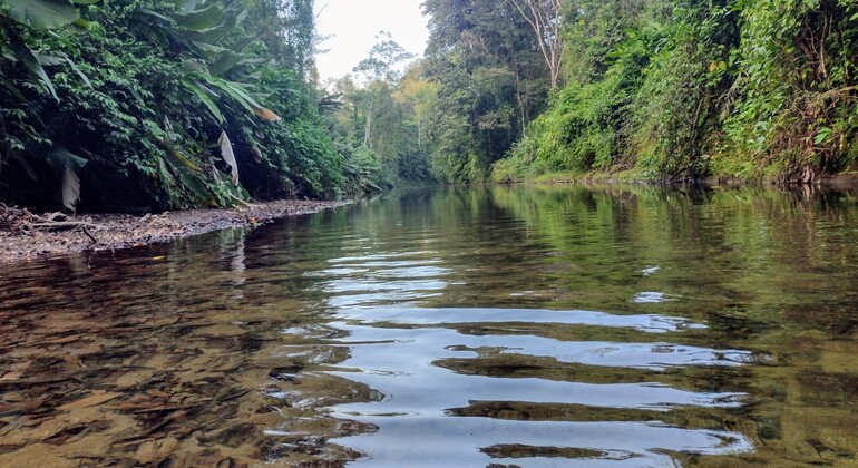 Free Tour: Drake Bay