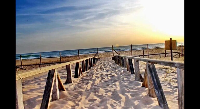 Tour en 4X4 por las Playas de Vejer, Trafalgar, La Costa de La Luz