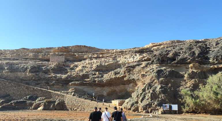 Free Tour: El Fondo del Mar de Fuerteventura, Spain