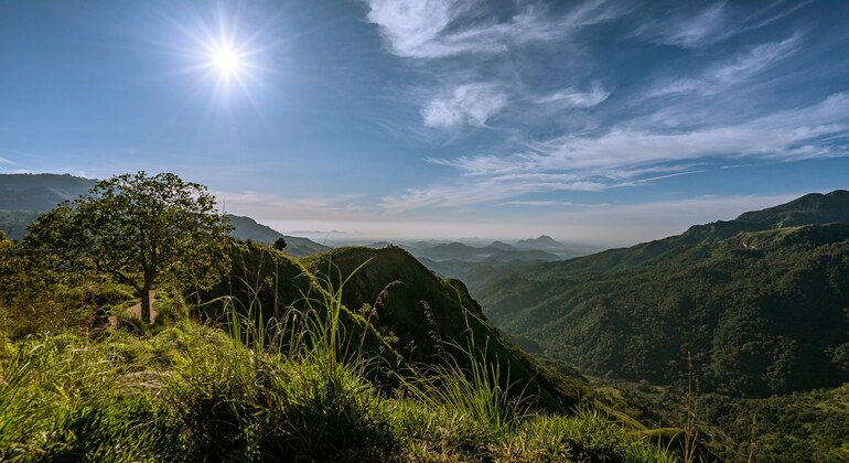 Descubra Ella - Little Adam's Peak, Ella Rock y Nine Arch Bridge