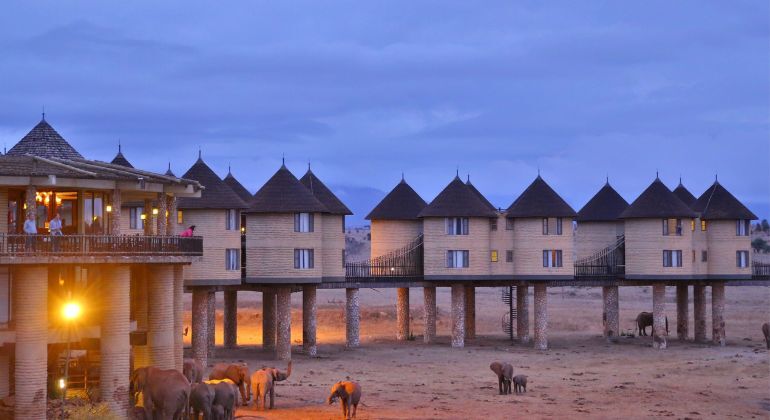 safari de 4 días en Kenia, Amboseli, Salt Lick Lodge y Tsavo Este