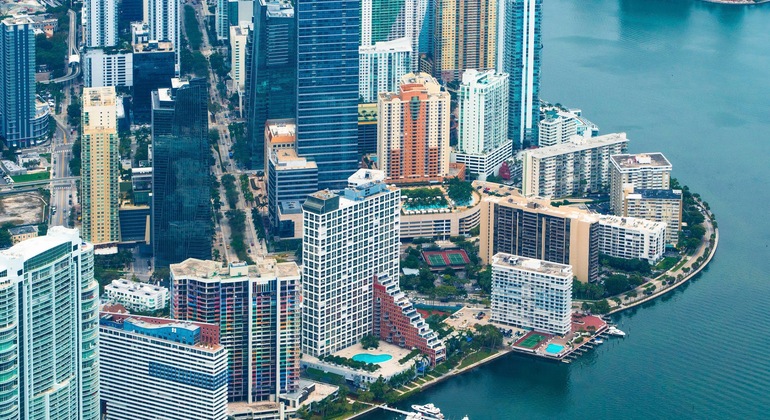 Discover the Magic: A Guided Journey Through Miami's Vibrant Heartbeat