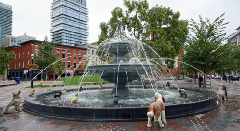 explore-torontos-old-downtown-center-es-3