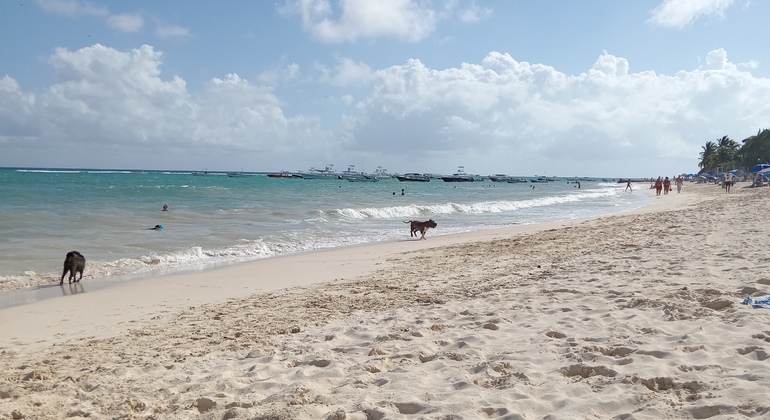 Free Tour: Enjoy the Sunrise on the Beach