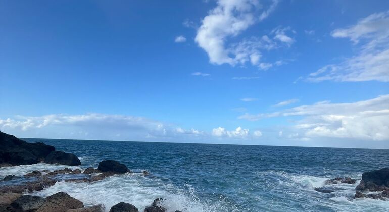 Disfruta de las Bellezas del Mar Caribe