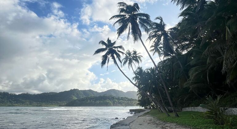 disfruta-de-las-bellezas-del-mar-caribe-en-2