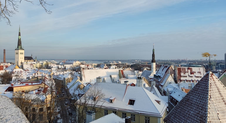 Free Tour of the Medieval Tallinn