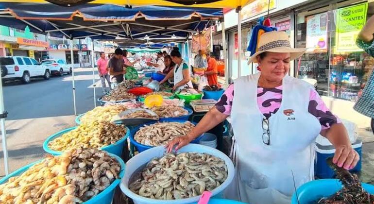 discover-mazatlan-by-pulmonia-es-4