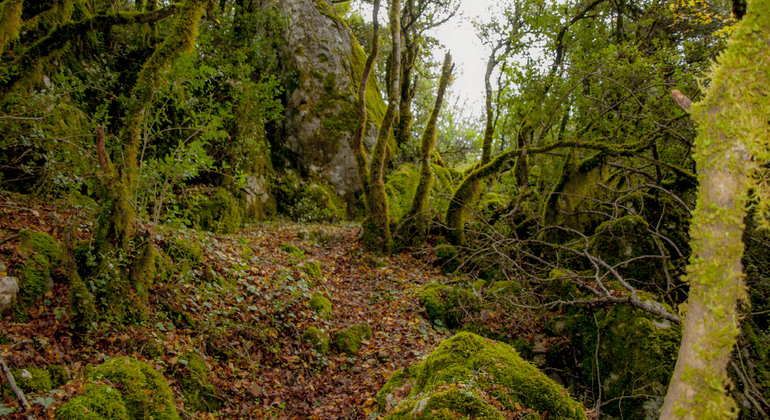 Naturaleza, cultura e historia en la Grecia montañosa