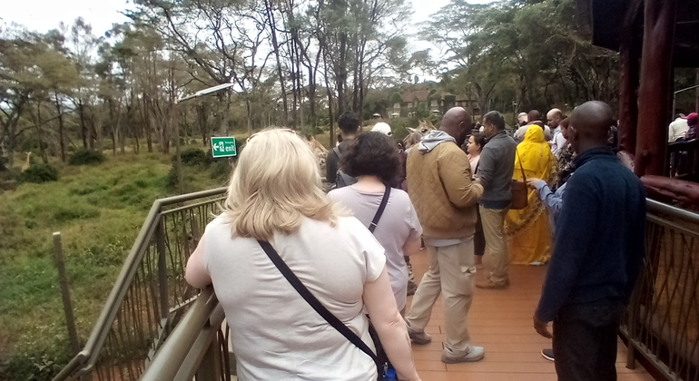 Elephant Orphanage - Giraffe Centre - Nairobi | FREETOUR.com