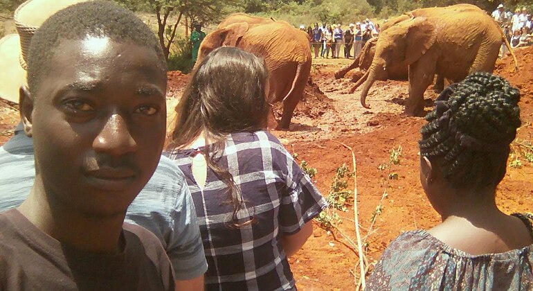 Elephant Orphanage - Giraffe Centre - Nairobi | FREETOUR.com