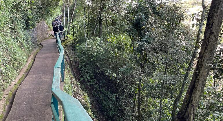 combo-cataratas-do-iguacu-brasil-parque-das-aves-ingresso-incluso-es-32