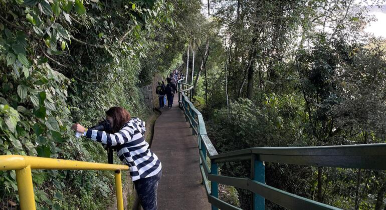 combo-cataratas-do-iguacu-brasil-parque-das-aves-ingresso-incluso-es-35