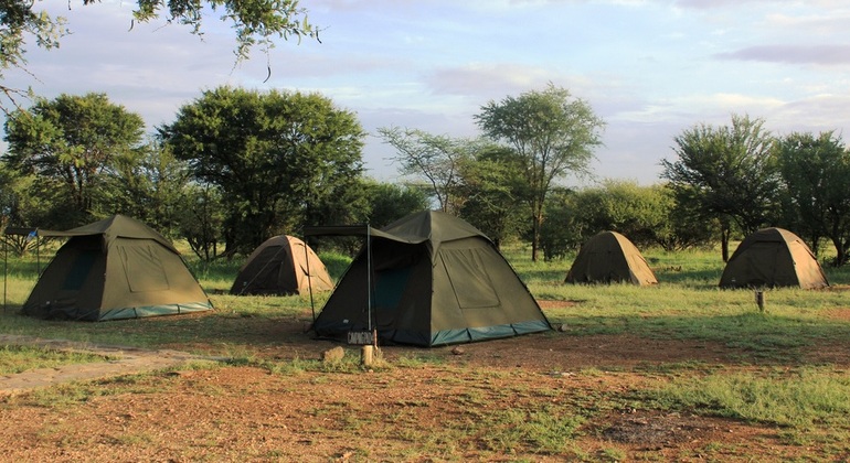 four-days-ngorongoro-serengeti-joint-group-camping-safari-es-5