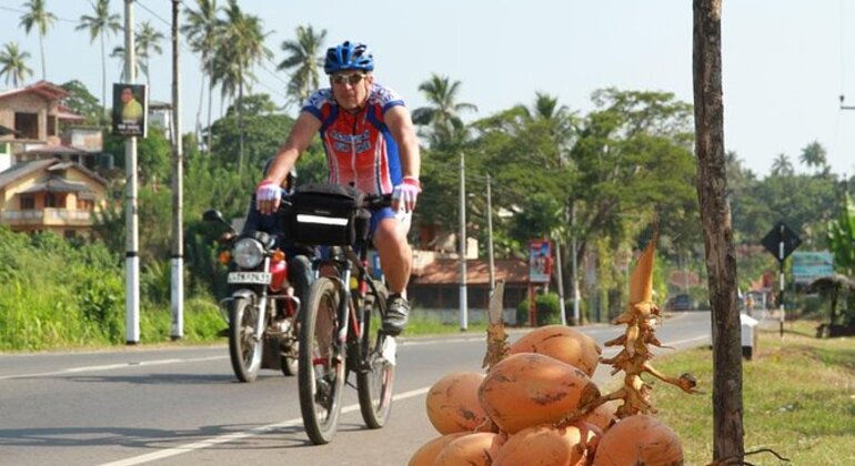 coastal-village-cycling-expedition-in-galle-en-5