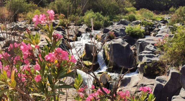 Excursión al Valle de Alcántara