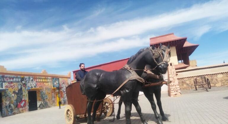 day-trip-to-ouarzazate-ait-benhaddou-es-17