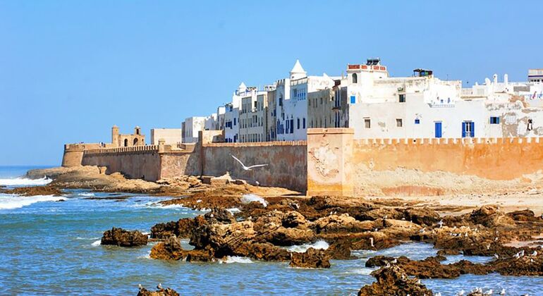 Desde Marrakech Excursión de un día a Essaouira