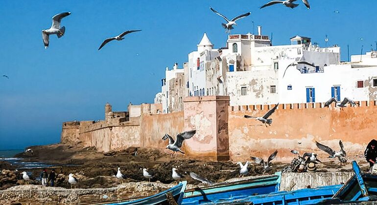 from-marrakesh-essaouira-full-day-tour-en-2