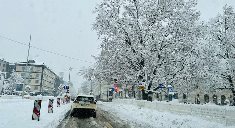 Driving through Munich: Magnificent Places Provided by Luis