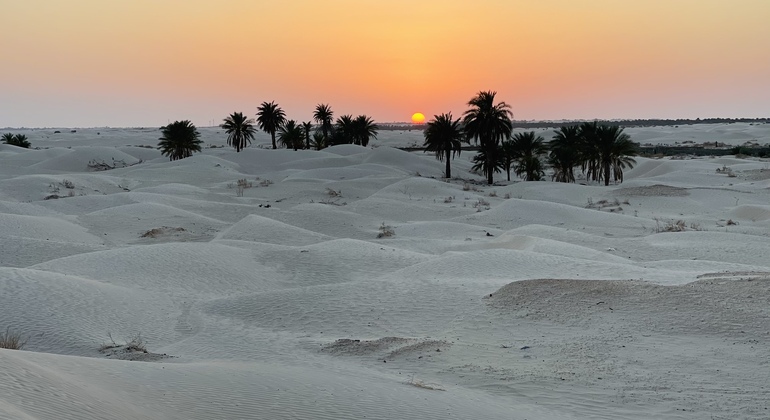 from-djerba-three-day-sahara-desert-adventure-es-11