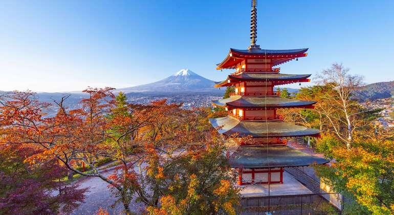 Tagesausflug zum Mount Fuji in Tokio Internet Celebrity Line Bereitgestellt von JAPAN ONE DAY TOUR