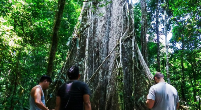 full-day-the-jungle-of-the-mirrors-yarapa-river-en-4