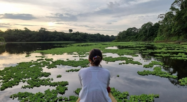 full-day-the-jungle-of-the-mirrors-yarapa-river-en-12