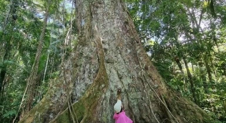 full-day-the-jungle-of-the-mirrors-yarapa-river-en-14