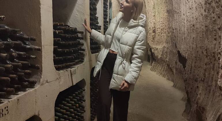 chisinau-city-tour-visit-milesti-mici-winery-es-10