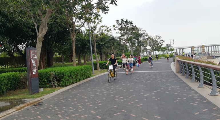 Shenzhen Bay Beach Park Tour