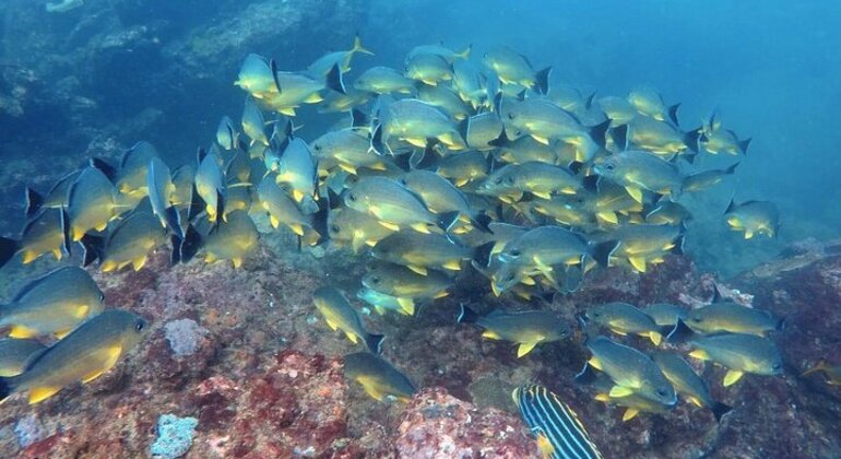 scuba-diving-in-hikkaduwa-en-1