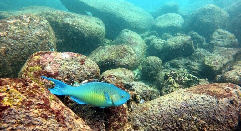 scuba-diving-in-hikkaduwa-en-3