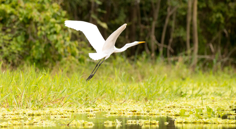 iquitos-four-days-three-nights-extreme-adventure-jungle-tour-en-12